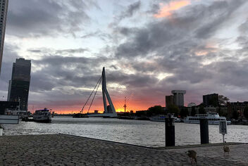 Rotterdam’s trendy south bank district Rotterdam’s trendy south bank district