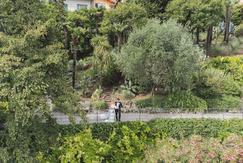 Enchanting Botanical Gardens