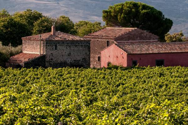 La Foresteria Planeta Estate